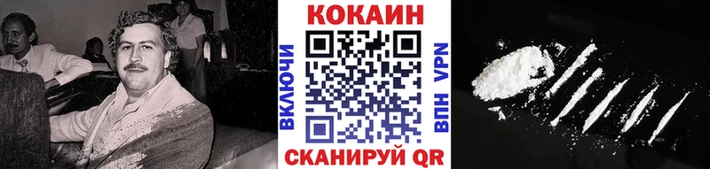 COCAIN Fish Scale  MEGA tor  Будённовск  цены наркотик 