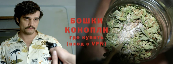 ALPHA PVP Белокуриха