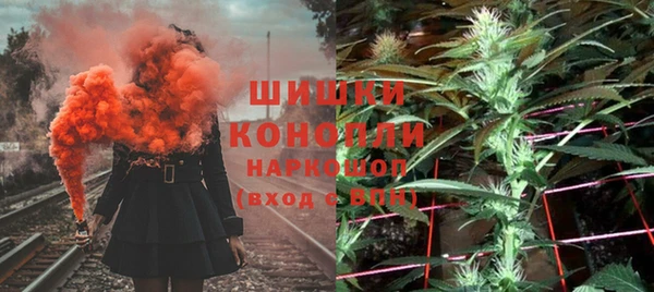 хмурый Дмитриев