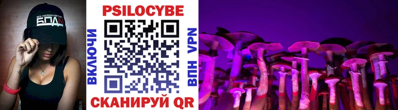 Псилоцибиновые грибы мухоморы  Будённовск 